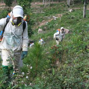 Política de Pesticidas