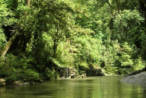 FSC conversion and remedy