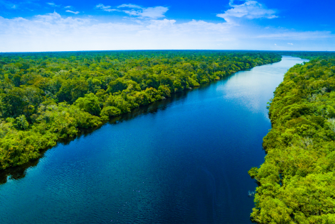 Dia da Amazônia