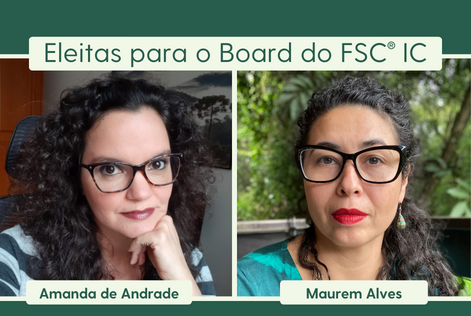 eleitas para o borad