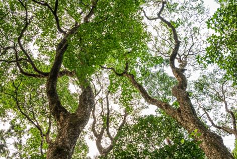 Advice Note addressing conversion