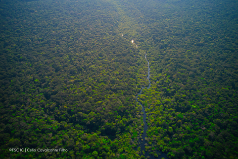 diálogos na paisagem