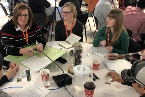 procedimentos para creditos de carbono e biodiversidade