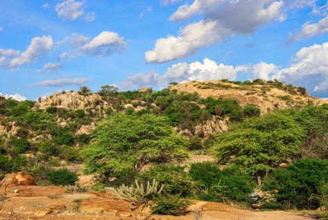 Caatinga
