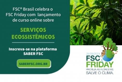 FSC Friday SE