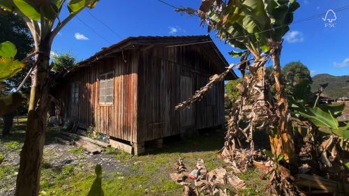 Perdigueiros