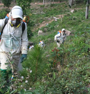 Política de Pesticidas